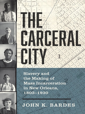 cover image of The Carceral City